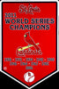 St Louis Cardinals Sign Metal Banner 2011 World Series Champions