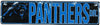 Carolina Panthers Street Metal 24 X 5.5