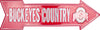 Ohio State Buckeyes Country Arrow Sign