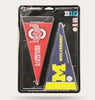 BIG TEN CONFERENCE MINI PENNANT SET 10